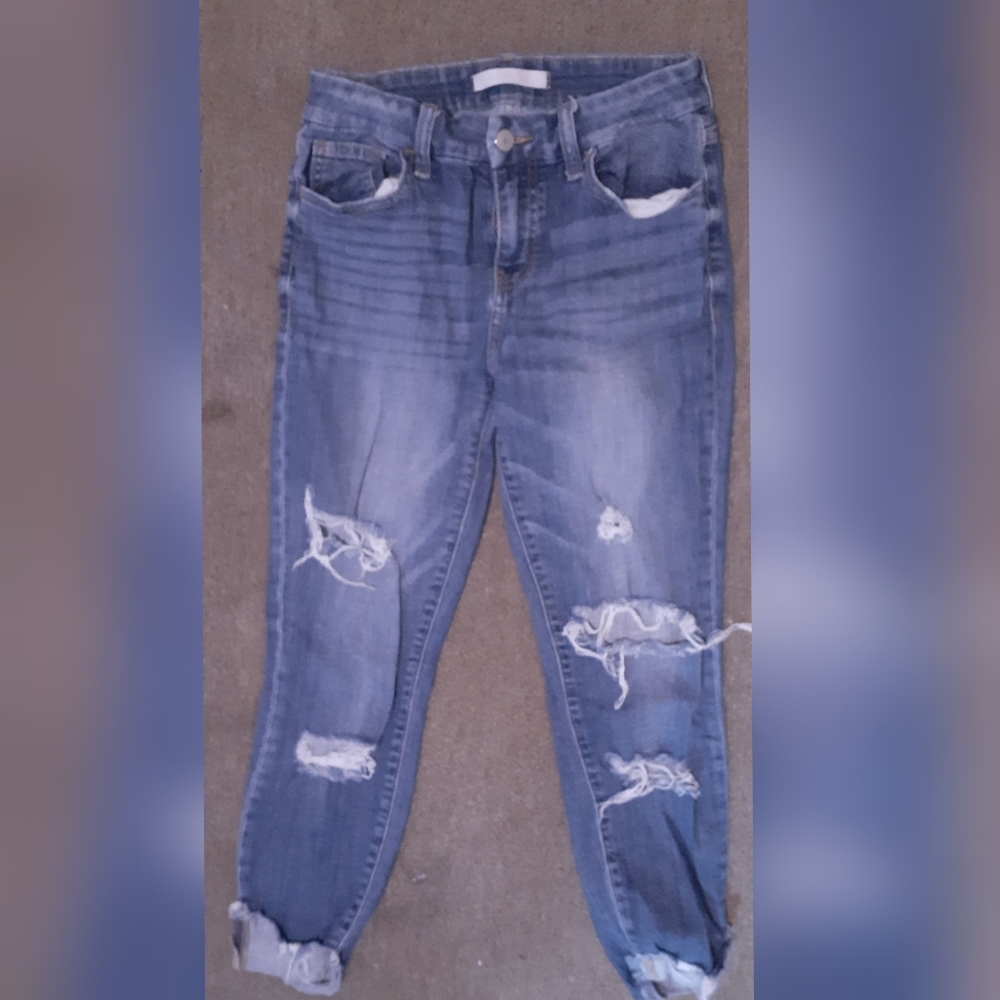 Distressed Willow Root